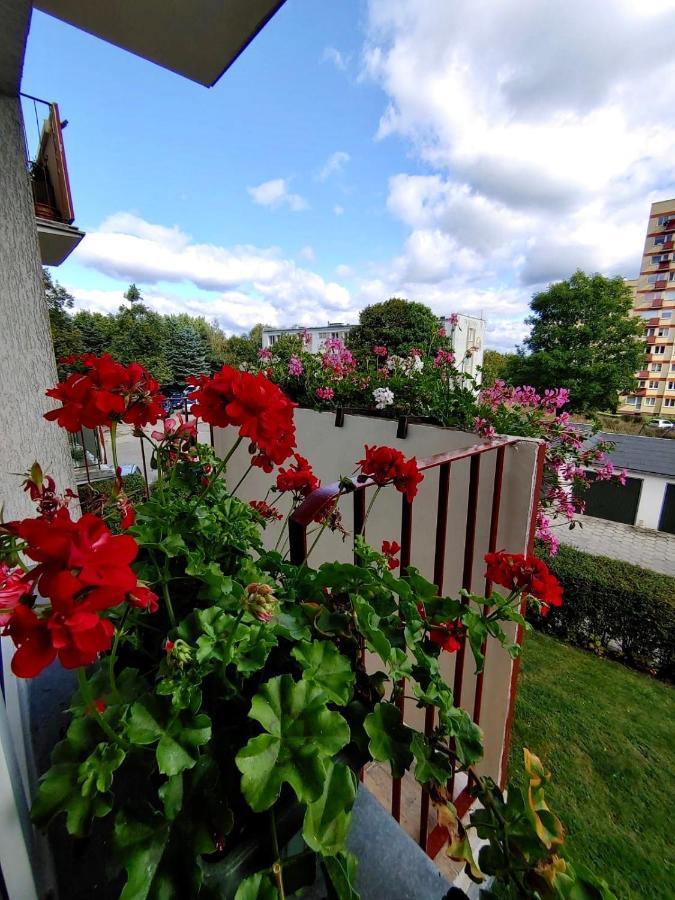 Appartamento Loft House Sopot Apartament Esterno foto